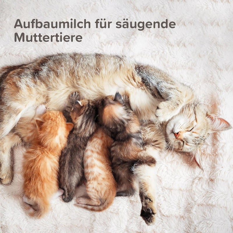 Beaphar Lactol Kitten Milk Powder 500g - Image 5